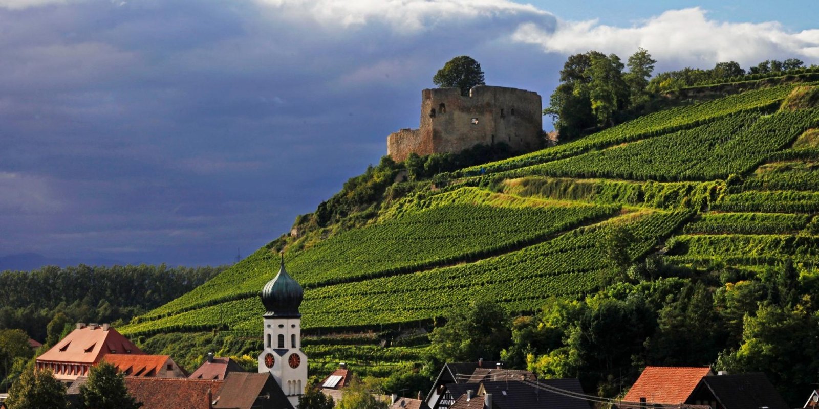 Bernhard Huber № 0