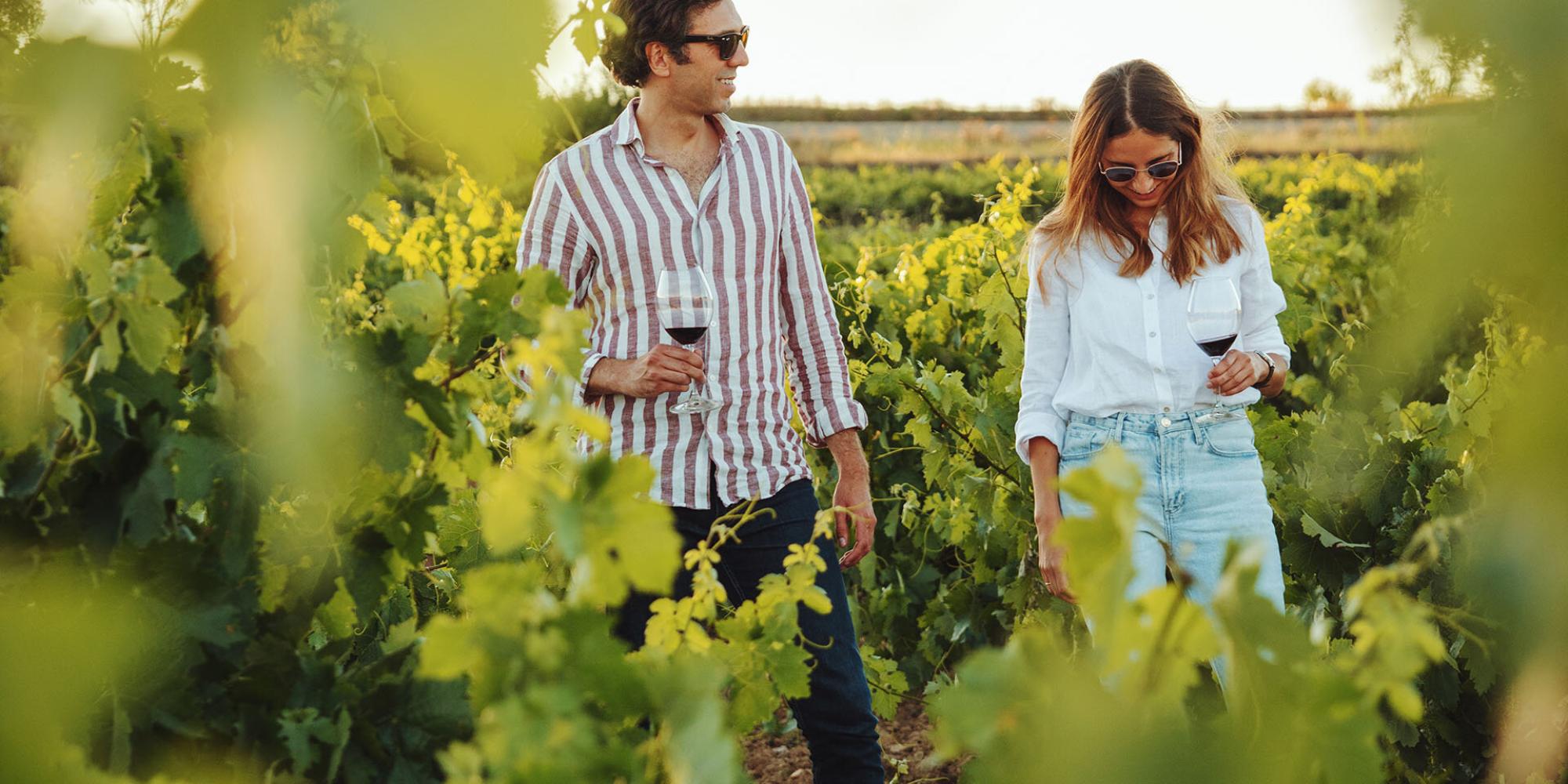 Bodegas Prieto Pariente № 1