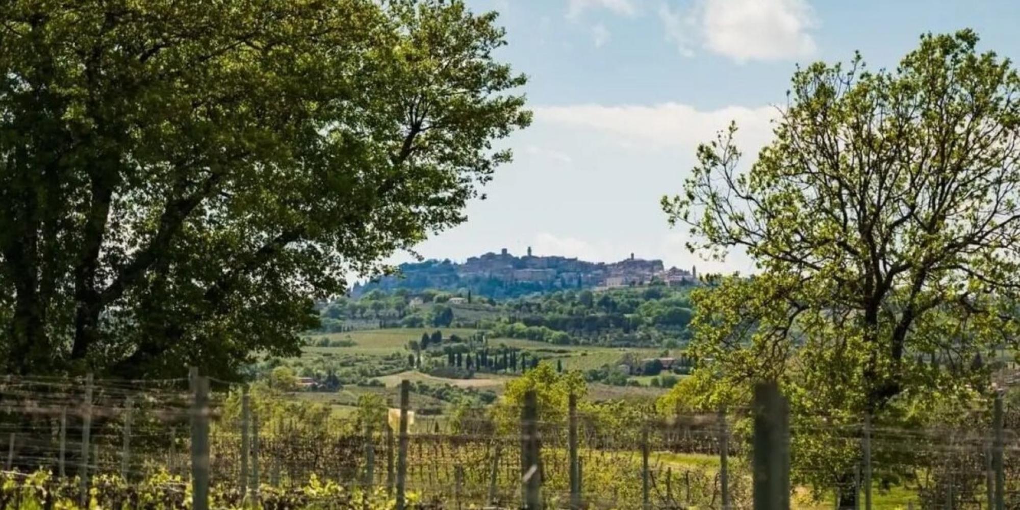 Poderi Boscarelli № 1