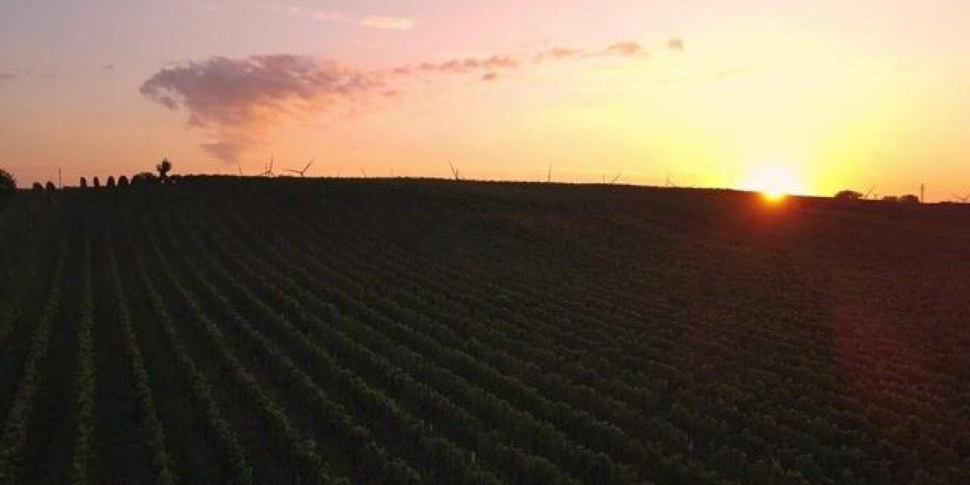 Weingut Paul Achs № 1