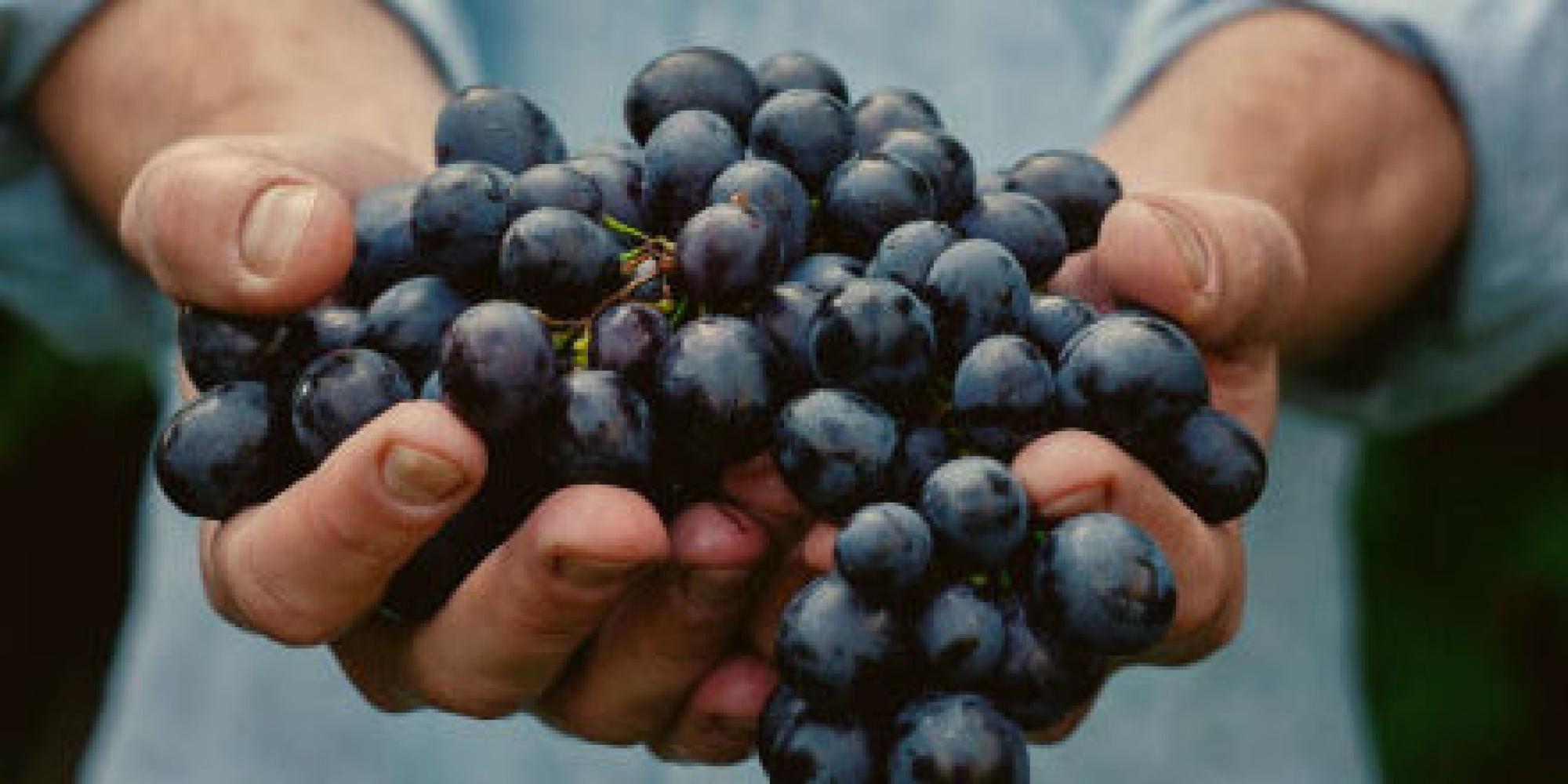 Bodegas Vizar № 1