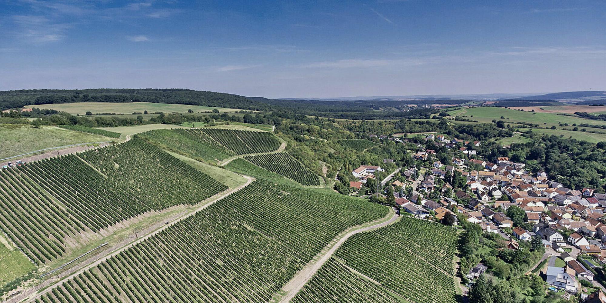 Schäfer-Fröhlich № 1