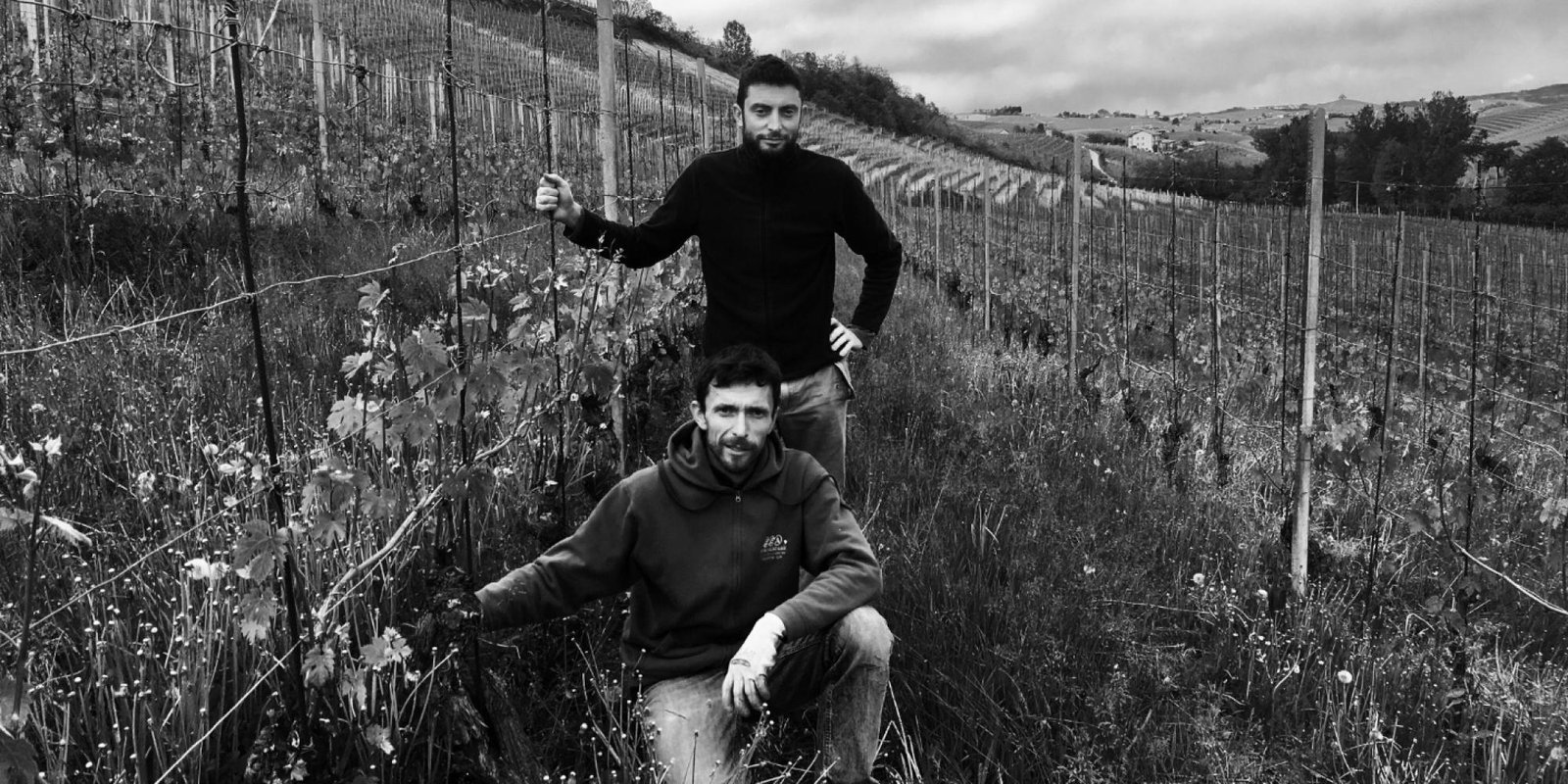 Bric Cenciurio № 1