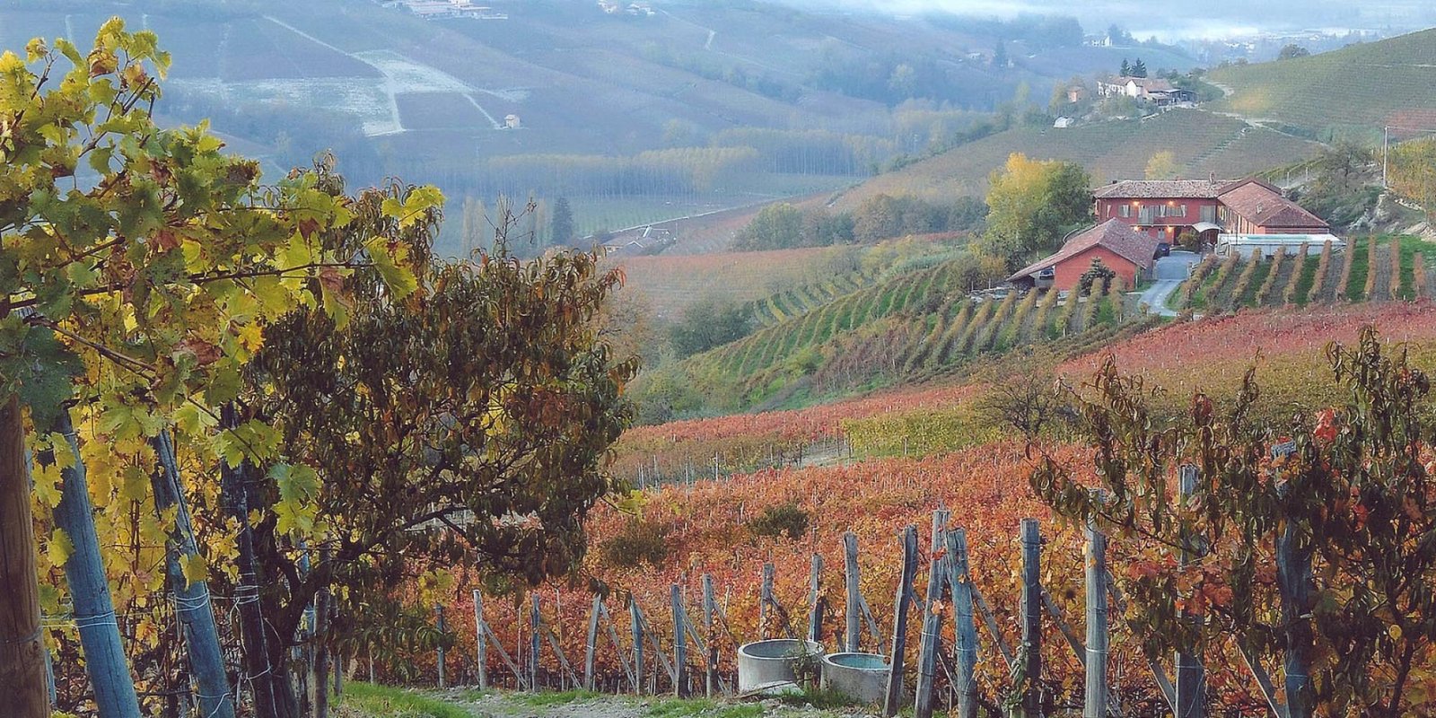 Paolo Manzone № 10