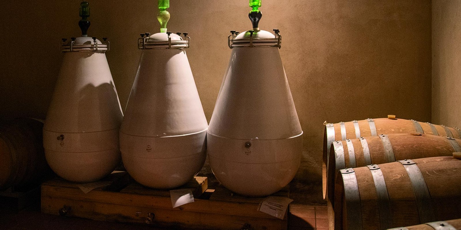 Paolo Manzone № 12