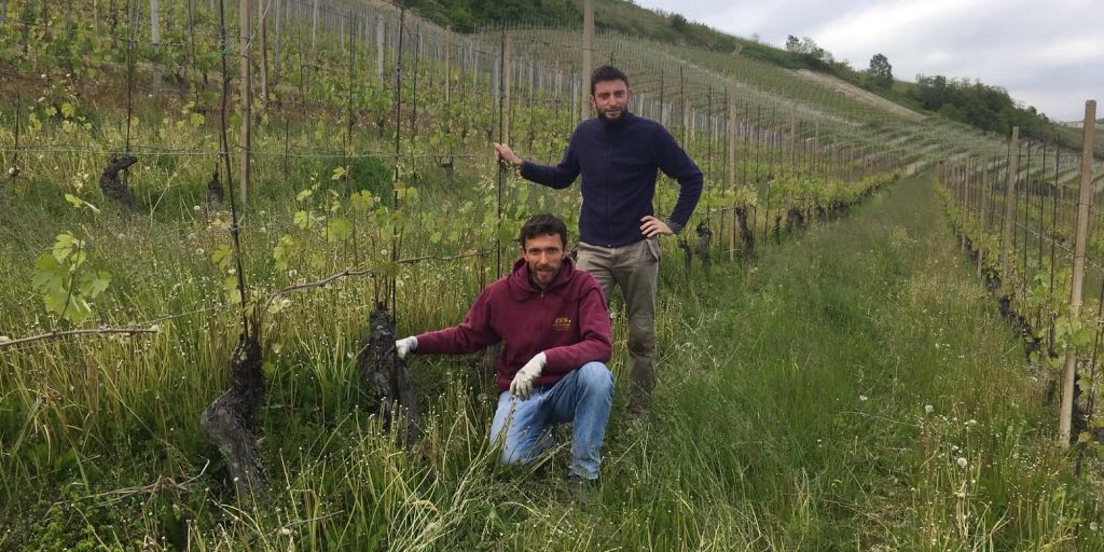 Bric Cenciurio № 12