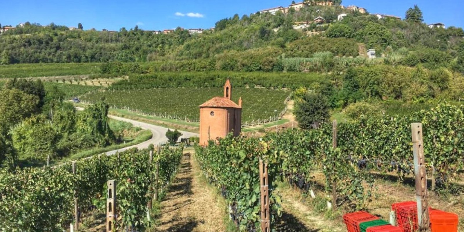 Bric Cenciurio № 14