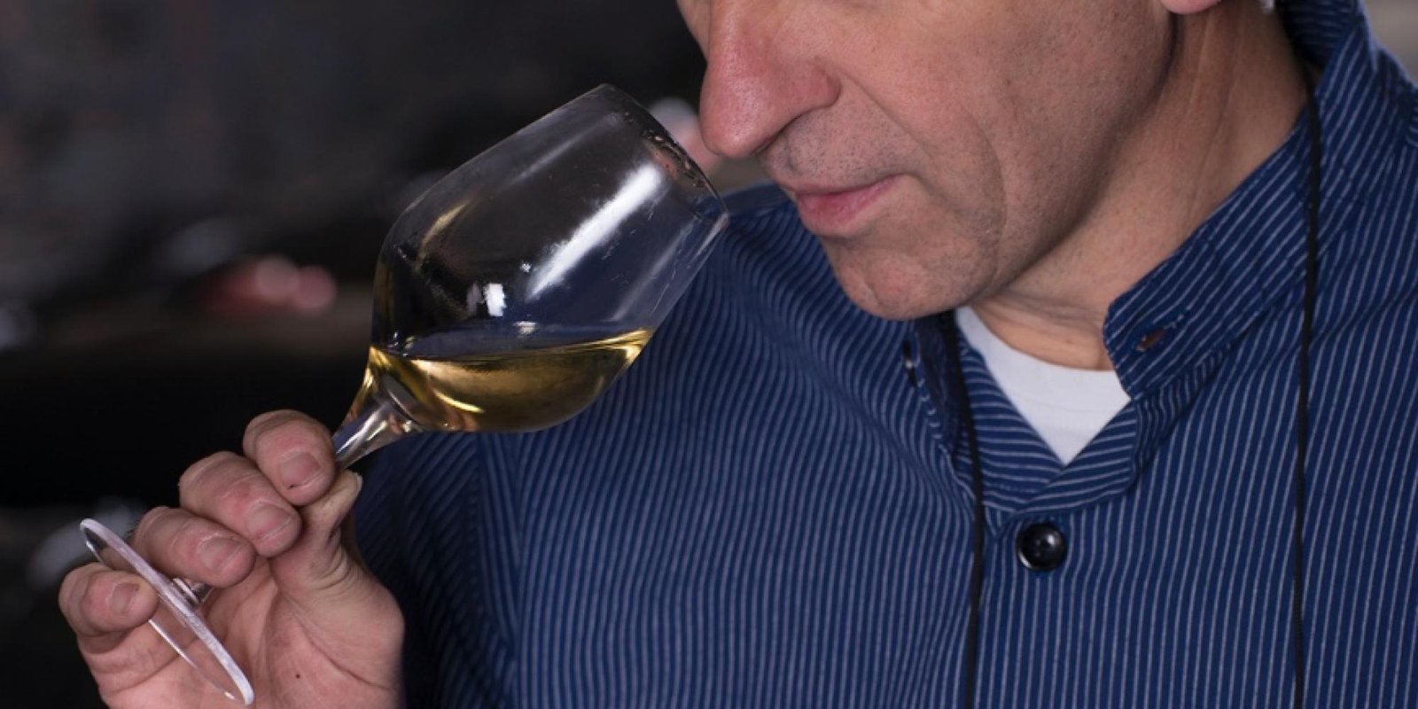 Selbach Oster № 16