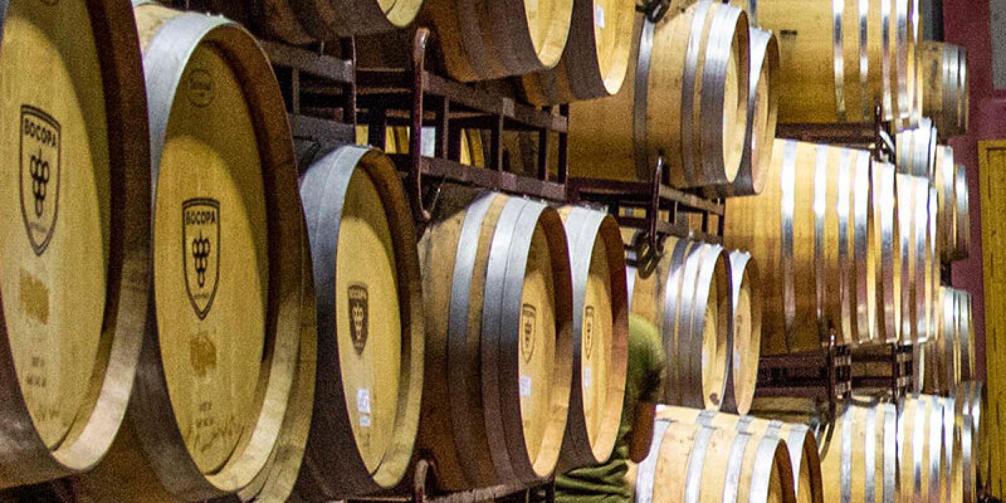 Bodegas Bocopa № 2