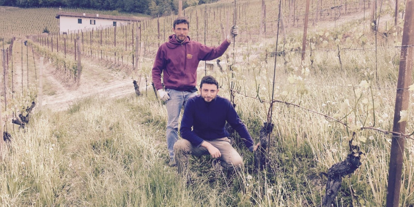 Bric Cenciurio № 2