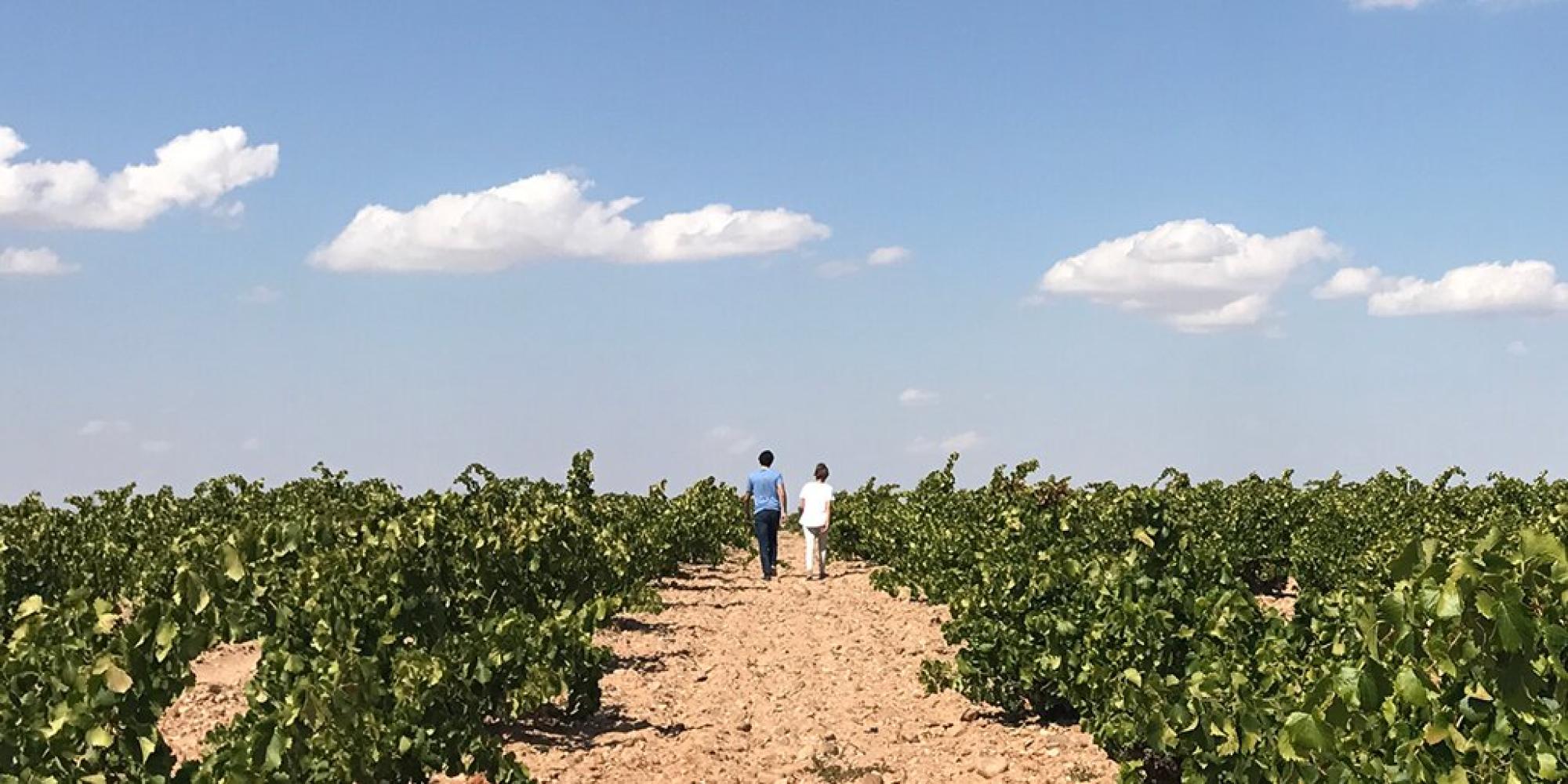 Bodegas Prieto Pariente № 0