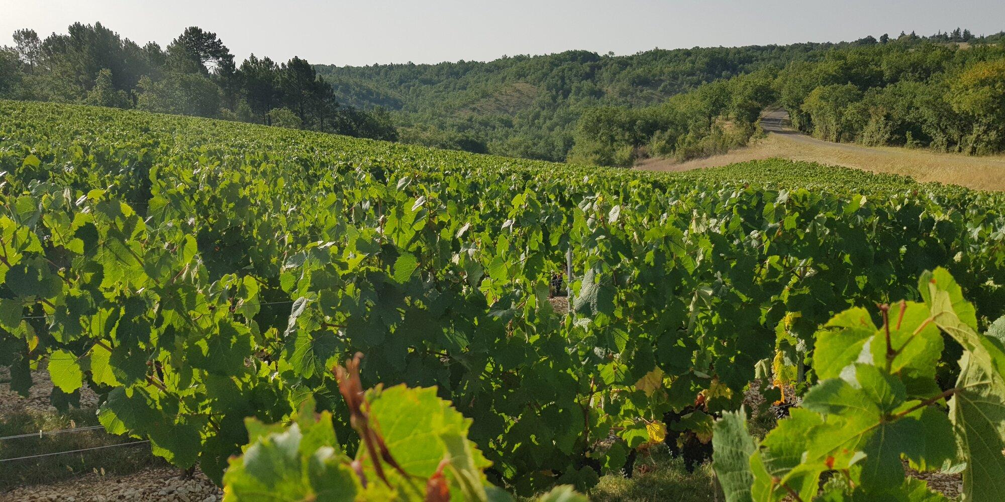 Château Plat Faisant № 0