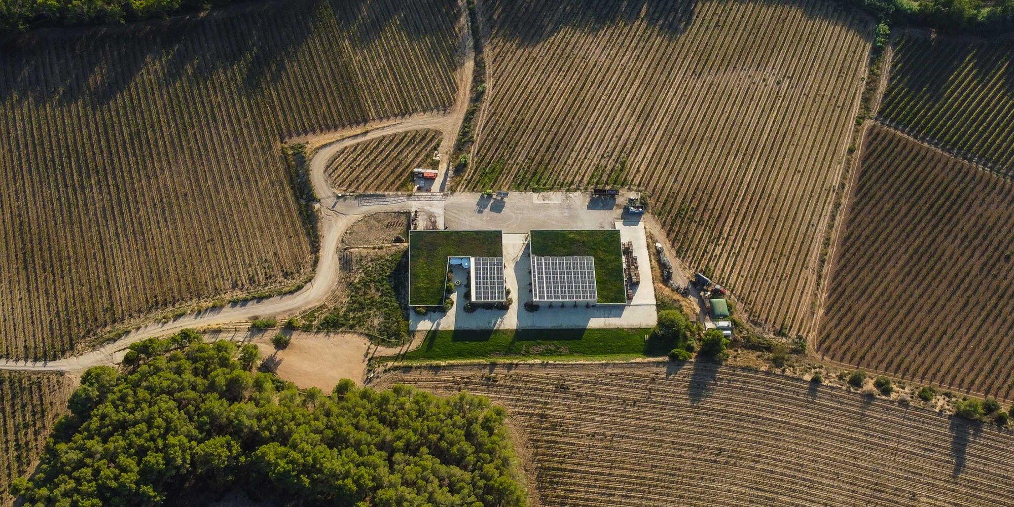 Bodegas Pinord № 0