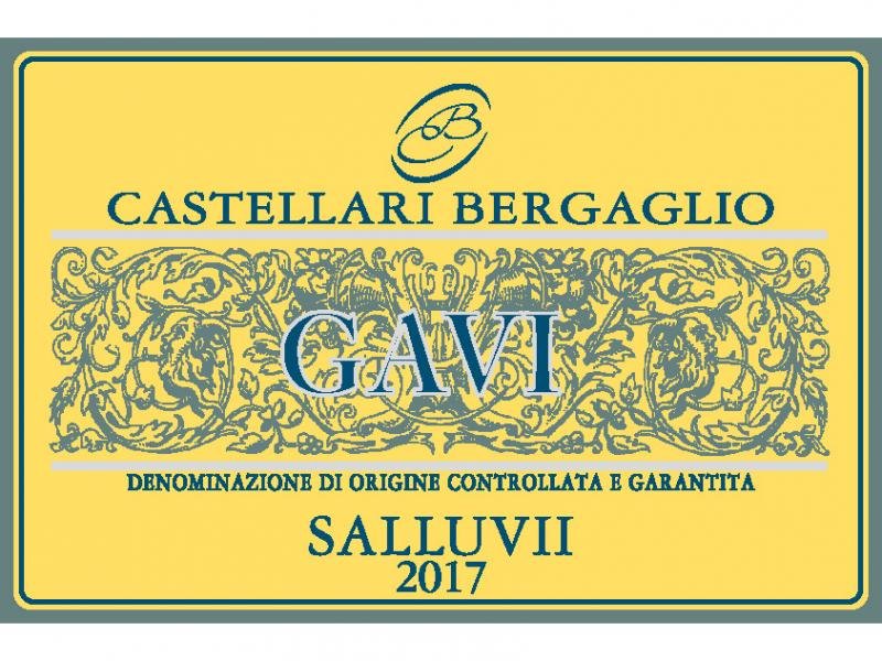 Wine Castellari Bergaglio, Salluvii Gavi, 2017