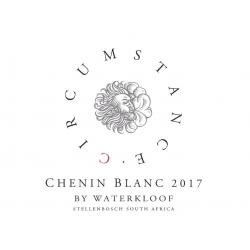 Wine Waterkloof, Circumstance Chenin Blanc, 2019