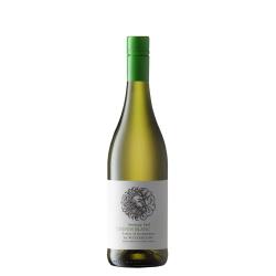 Wine Waterkloof, Seriously Cool Chenin Blanc, 2025