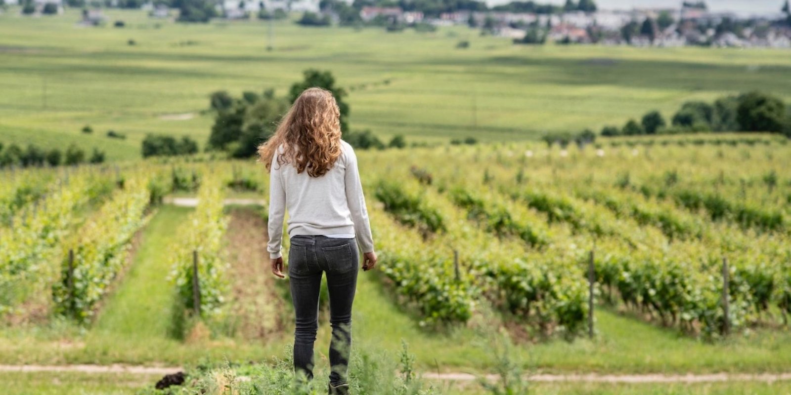 Peter Jacob Kuhn № 11