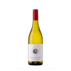 Wine Waterkloof, Circumstance Chenin Blanc, 2025