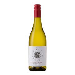 Wine Waterkloof, Circumstance Sauvignon Blanc, 2025