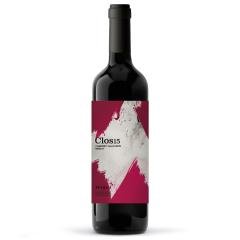 Wine Pinord, Clos 15 Cabernet Sauvignon Merlot, 2021