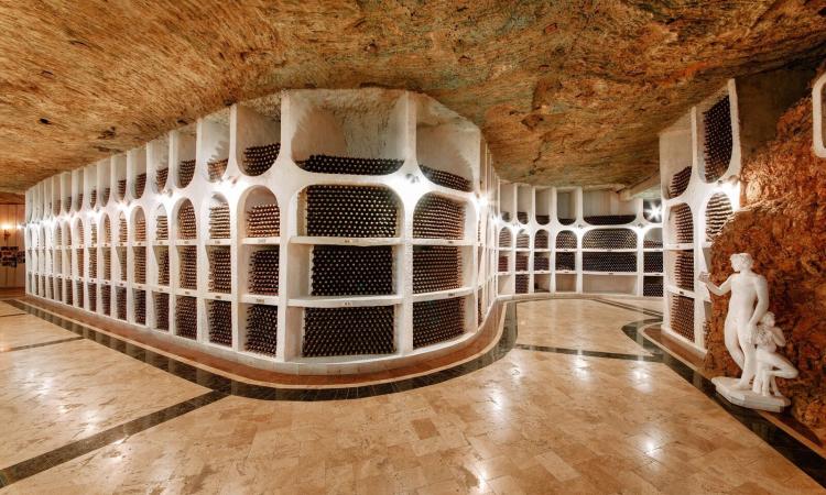 Meet the Makers: Cellars, Slopes and Families Behind Our Wines