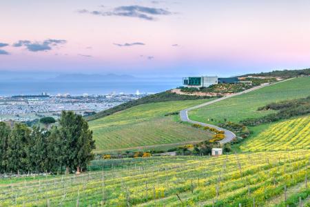 From Vineyard to Thao Dien: Stories of Our Growers
