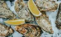 Which wine with oysters?