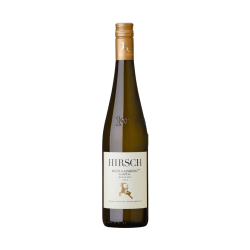 Wine Hirsch Riesling Kamptal Ried Gaisberg 1ÖTW, 2023