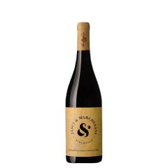 Montepulciano d’Abruzzo, 2024