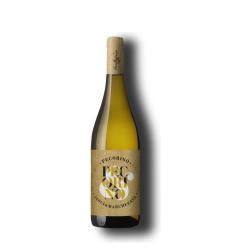 Wine Jasci & Marchesani Pecorino Terre d’Abruzzo IGT 2025