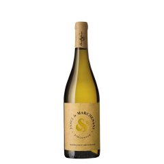 Trebbiano d’Abruzzo, 2025