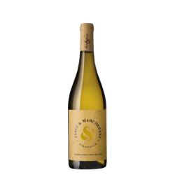 Wine Jasci & Marchesani Trebbiano d’Abruzzo DOC 2025