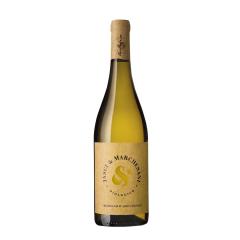 Wine Jasci & Marchesani Trebbiano d’Abruzzo DOC 2025