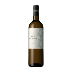 Wine José Pariente, Sauvignon Blanc D.O. Rueda, 2025
