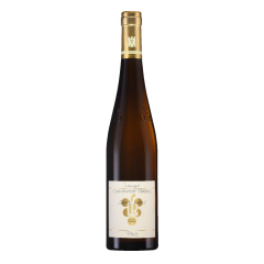 Wine Okonomierat Rebholz, Ganz Horn Riesling GG, 2018