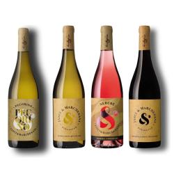 Wine set: Abruzzo in Four Colours — Jasci & Marchesani
