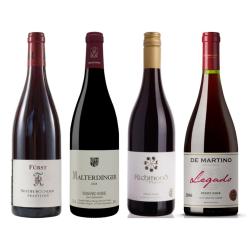Wine set: Pinot Noir Passport — Germany, New Zealand, Chile