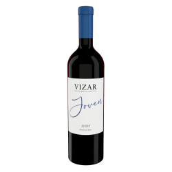 Wine Vizar Joven, 2023