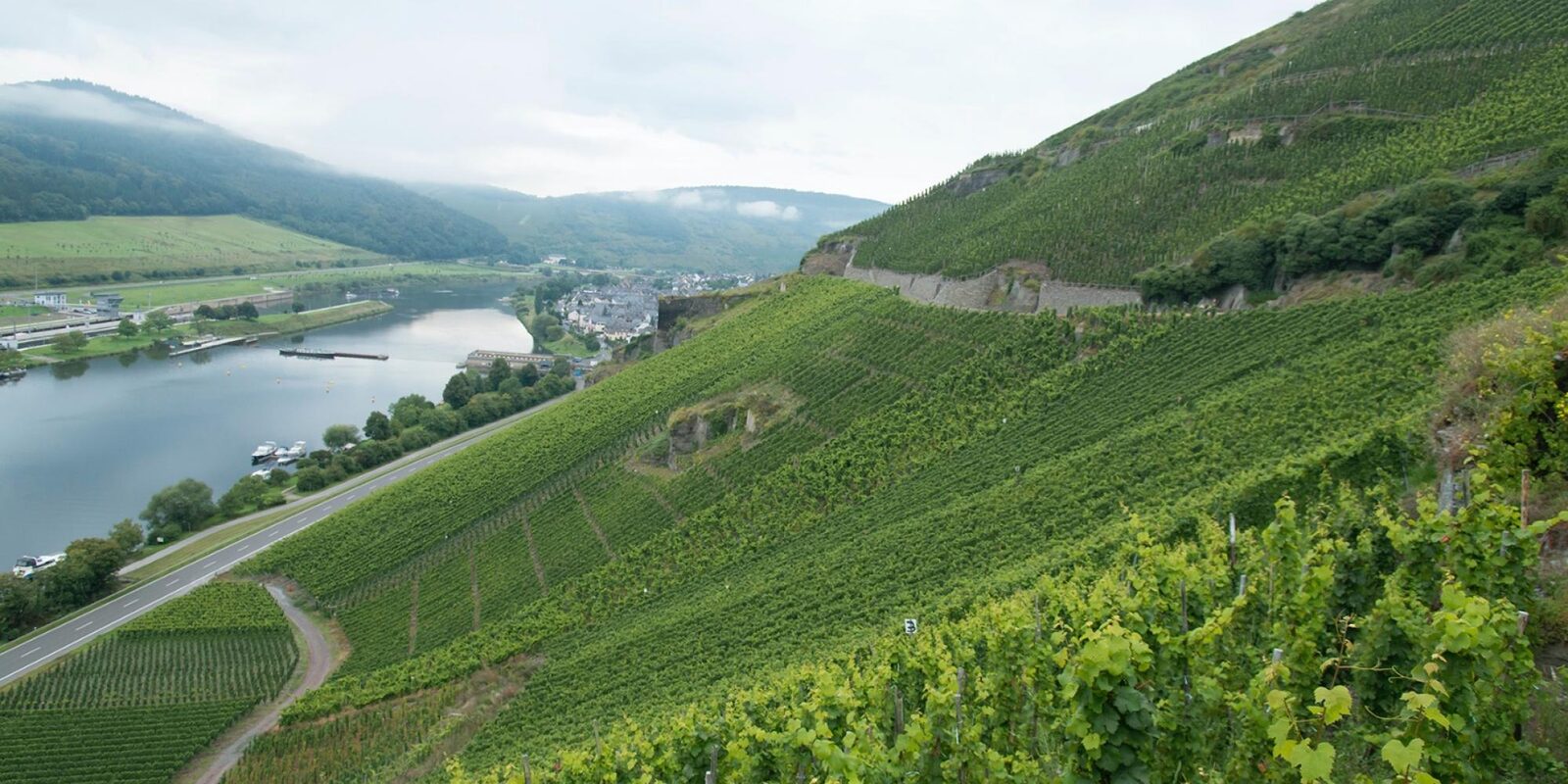 Steep green vineyard slopes above the Mosel river and a small riverside village